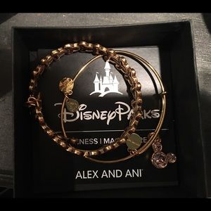 Alex and Ani Disney Bundle